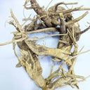Dandelion Root